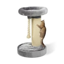 MORE Kratzbaum Bente 14 MORE Kratzbaum Bente -Haustierprodukte e9b2f106fd5166a39ac6fc361f4a0c914a27a18c e3dce24ee9bad6c267aa9c1b35023714eb90889e