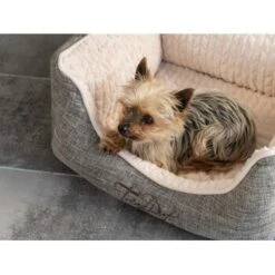 TrendPet VitaBed Classic Orthopädisches Hundebett Beige S -Haustierprodukte e9c4b8b04715aa9a0805f554870b41f4b66dff08 1312262 de DE 149707f9692d822bfb2866d578db217fa49558ddkusmtz