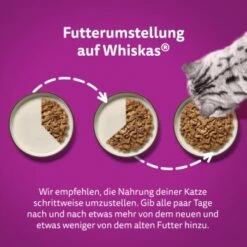 Whiskas Jumbo Pack 1+ Fisch Auswahl In Gelee 80 X 85g -Haustierprodukte e9fa5d9648fc621ba0bfa80c21e55ef3f92471aa 1410724 de DE Whiskas 5