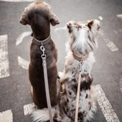 Freudentier Führleine Aus Leder Braun/ Grau 2 Cm -Haustierprodukte ed7363242b5af0aeac560375765364d8d1a9d7ca 1421435 de DE d40365deffc471619a8891f2d10bbb6785191840MHr5Vx