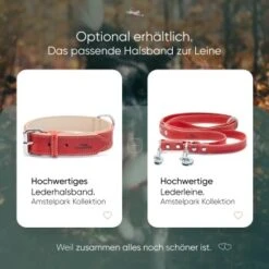 Freudentier Gefüttertes Halsband Aus Leder Rot L -Haustierprodukte edbbec2203d36f9f92e63e25e5dac1465e2212f9 1655241 de DE f27ae6c917577706d4abf31813f6f4ca38005295rnxmmc