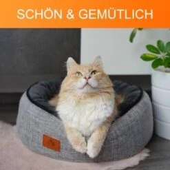 Schlitzohr Donut Katzenbett Sissy Rund -Haustierprodukte ee27e49623012b907797287ac3acc324cfaeeabd 1484677 de DE 1706d883ca7fa3920cbe8701fd00735068a004f04BOmzR