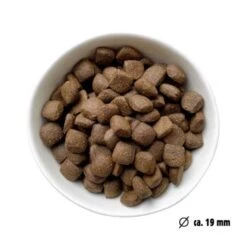 Eat Small EatSmall 2x10kg Trockenfutter Active Maxi -Haustierprodukte f029f79ebd1150d7eaef1707c6fefae845d8bae1 1492082 de DE 7be7b6abbd10a501ad4eda906b0ca458956766a1l3FEXb