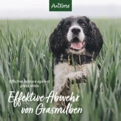 Aniforte Grasmilben-EX Spray Für Hunde 500ml -Haustierprodukte f1681a58b880d49267b5877e09c99fc6406a033b 1655910 de DE e3905507b4127feea49671bfd5a4aadf45361666Vq4xRH