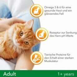IAMS Vitality Adult Huhn 3 Kg -Haustierprodukte f239d7ef57a6054553948e62d3d5feb16002578a 8361bd6d370c2f798bd71fa3242ca269884546de