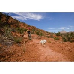 Ruffwear Swamp Cooler Zip™ Kühlweste Für Hunde Pink XL 21 Ruffwear Swamp Cooler Zip™ Kühlweste Für Hunde Pink XL -Haustierprodukte f39337d577f60e5d30ba5addfb811febecbc66e7 1639652 de DE 1ff9fca93caed68be3a65cc55ad0d154f81bf268suJpN2