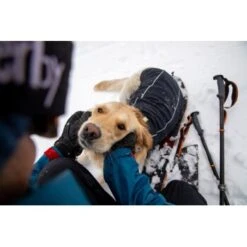 Ruffwear Cloud Chaser™ Hundejacke -Haustierprodukte f46c67f8b7243d976f998e1877675b56fc87eab2 1369625 de DE 51d1c132eb566a7eb9e278708f64567d4e47a10epBiJRc