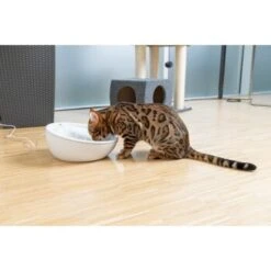 AniOne Keramik-Trinkbrunnen Waterfall Weiß Ohne Ersatzfilter 9 AniOne Keramik-Trinkbrunnen Waterfall Weiß Ohne Ersatzfilter -Haustierprodukte f5666e2f535275128e81462f19991e450c3d3f87 c66954489332ac4ff326811e24559ef9b2854fac