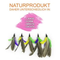 Schlitzohr Katzenangel Federanhänger 5x 13 Schlitzohr Katzenangel Federanhänger 5x -Haustierprodukte f6a96b93601c3b2f6f7420ade3ecfe56542cca74 1484675 de DE b1d2fd29ad67016b9a6af908251d348edfa467f2BG8aWR