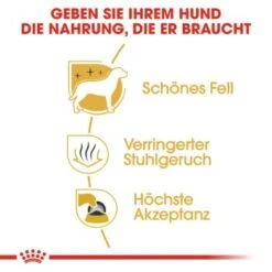 ROYAL CANIN Maltese Adult 1,5 Kg 1,5 Kg 9 ROYAL CANIN Maltese Adult 1,5 Kg 1,5 Kg -Haustierprodukte f90d9ba88cab85146ee9a6174a35779689441d96 eb360bae359894307615e39cafb2510583920689