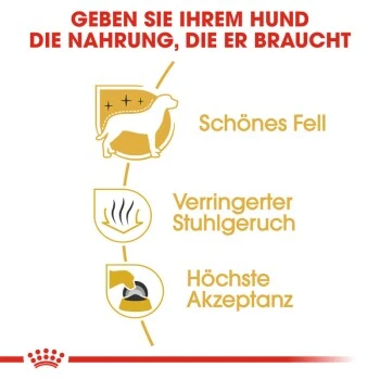 ROYAL CANIN Maltese Adult 1,5 Kg 1,5 Kg 4 ROYAL CANIN Maltese Adult 1,5 Kg 1,5 Kg – Bild 4