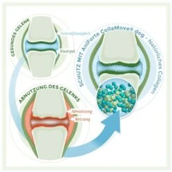 Aniforte CollaMove Kollagen Dog 250 G 11 Aniforte CollaMove Kollagen Dog 250 G -Haustierprodukte fbf5a9dc08423de08f5c9740ea99fa2e524d47dc 1457284 de DE 93f83ccbd87110a8284ed4e38cb6148f2a1dc492cVu2P6