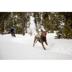 Ruffwear Climate Changer™ Fleece-Pullover Für Hunde Rot S -Haustierprodukte fc22c2bf571467d3b4a13f07039506d1e744f556 1369661 de DE a9fba8eb5491b88489a9522880e926a6833ccfbe7NJDVr