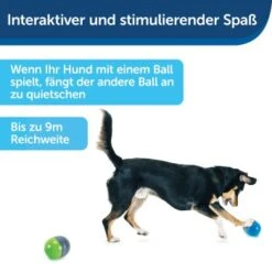 PetSafe Elektronisches Hundespielzeug Ricochet -Haustierprodukte fde7c0cc07cd70611ca47b65ddae3e632f160d94 1418724 de DE 4f6e4953c50827cae26a42d6d5890e56447a49a4XQHEwC