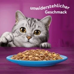 Whiskas Jumbo Pack 1+ Fisch Auswahl In Gelee 80 X 85g -Haustierprodukte fec7c318dfc6872c65e754a2b3bf40ee0b91811b 1410724 de DE Whiskas 6