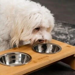 Lionto Erhöhte Futterstation Aus Bambus Braun/ Silber S 8 Lionto Erhöhte Futterstation Aus Bambus Braun/ Silber S -Haustierprodukte ff2eba128a0d6b75a70cc824dc213b8dd85d734a 1665921 de DE e23b5a688ebe67bbe1f23e079b16083d61ef18cdlFh9kV